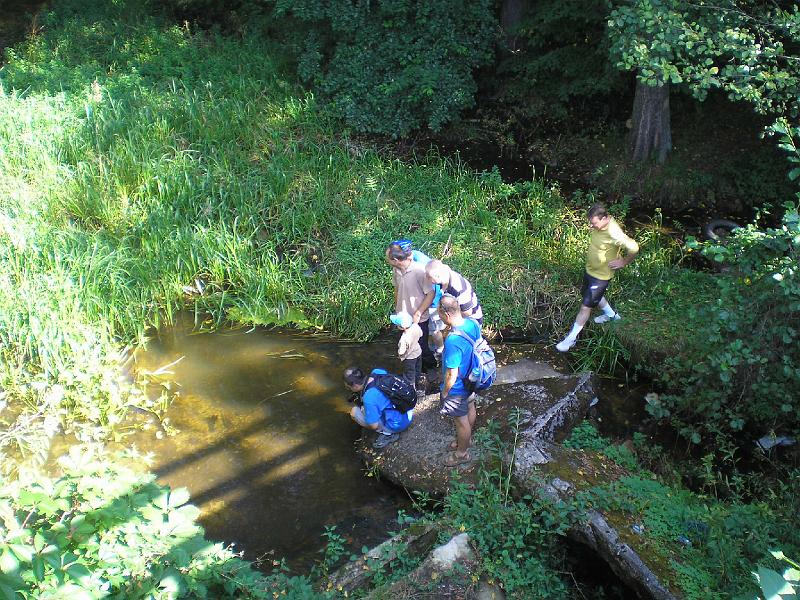 rowtras 011.jpg - c.d.